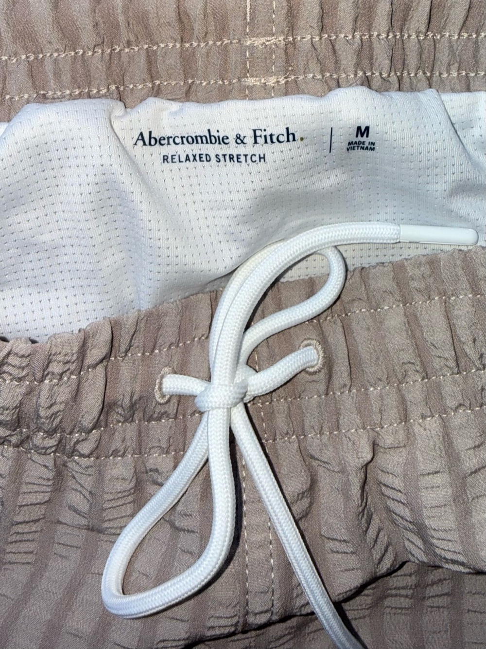 Abercrombie & Fitch NWT Taupe Striped Seersucker Swim Shorts - Picture 2 of 7